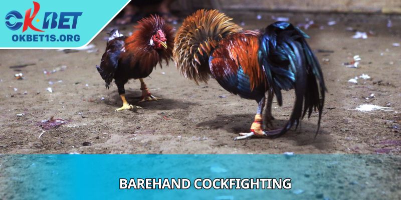 Barehand Cockfighting Explains Smart Wagering Approaches