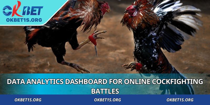 Data analytics dashboard for Online Cockfighting Battles