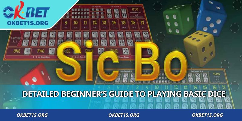 Detailed beginner’s guide to playing basic dice