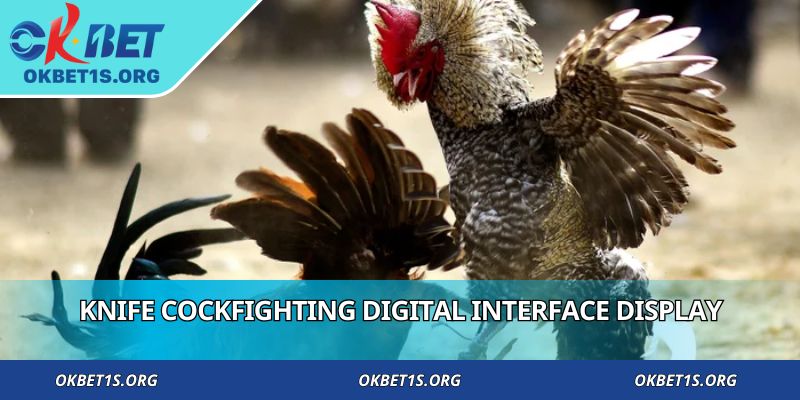 Knife Cockfighting digital interface display