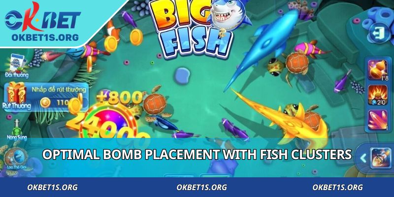 Optimal bomb placement with fish clusters