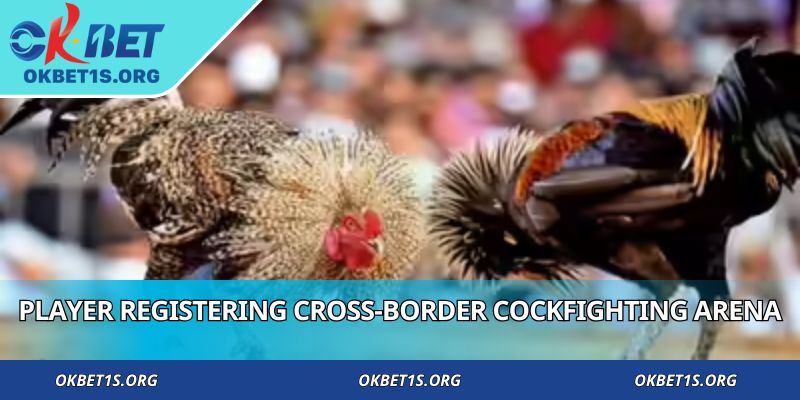 Player registering Cross-border Cockfighting arena