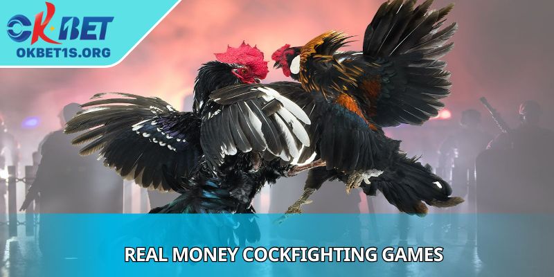 Real Money Cockfighting Games Offer Strategies For Success