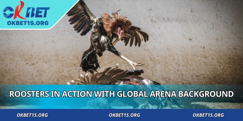 Roosters in action with global arena background