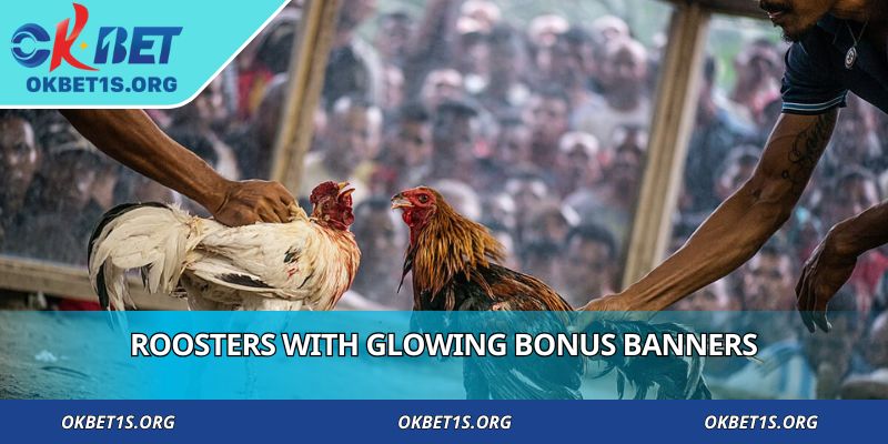 Roosters with glowing bonus banners