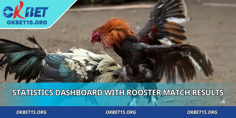 Statistics dashboard with rooster match results