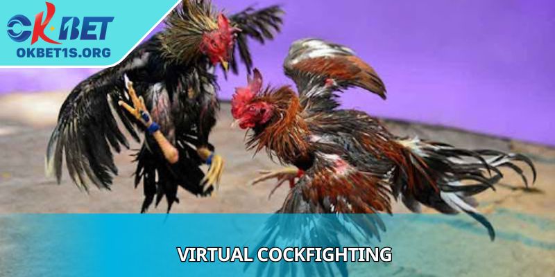 Virtual Cockfighting Shows Secrets Of Successful Betting