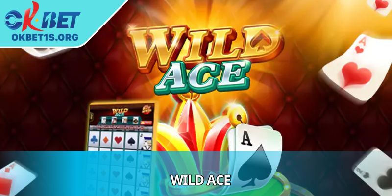 Wild Ace - Exciting Gameplay With Every Daring Move