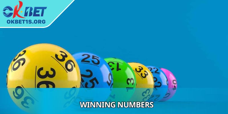 Winning Numbers - Turning Chance Into Celebration
