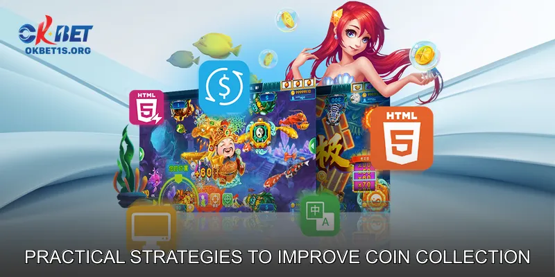 Practical Strategies to Improve Coin Collection